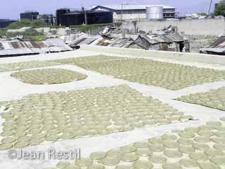 T&eacute; drying on the rooftop of Haiti's old prison for political prisoners during the Duvalier regime